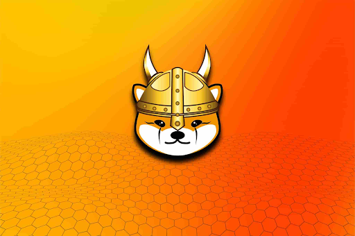 Floki price rallies after Elon Musk’s tweet before brutal crash